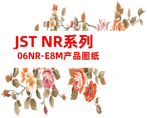JST NR系列 06NR-E8M产品图纸